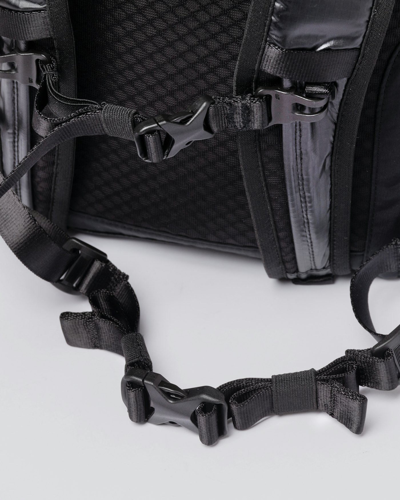 Noa est en couleur noir (6 de 12)