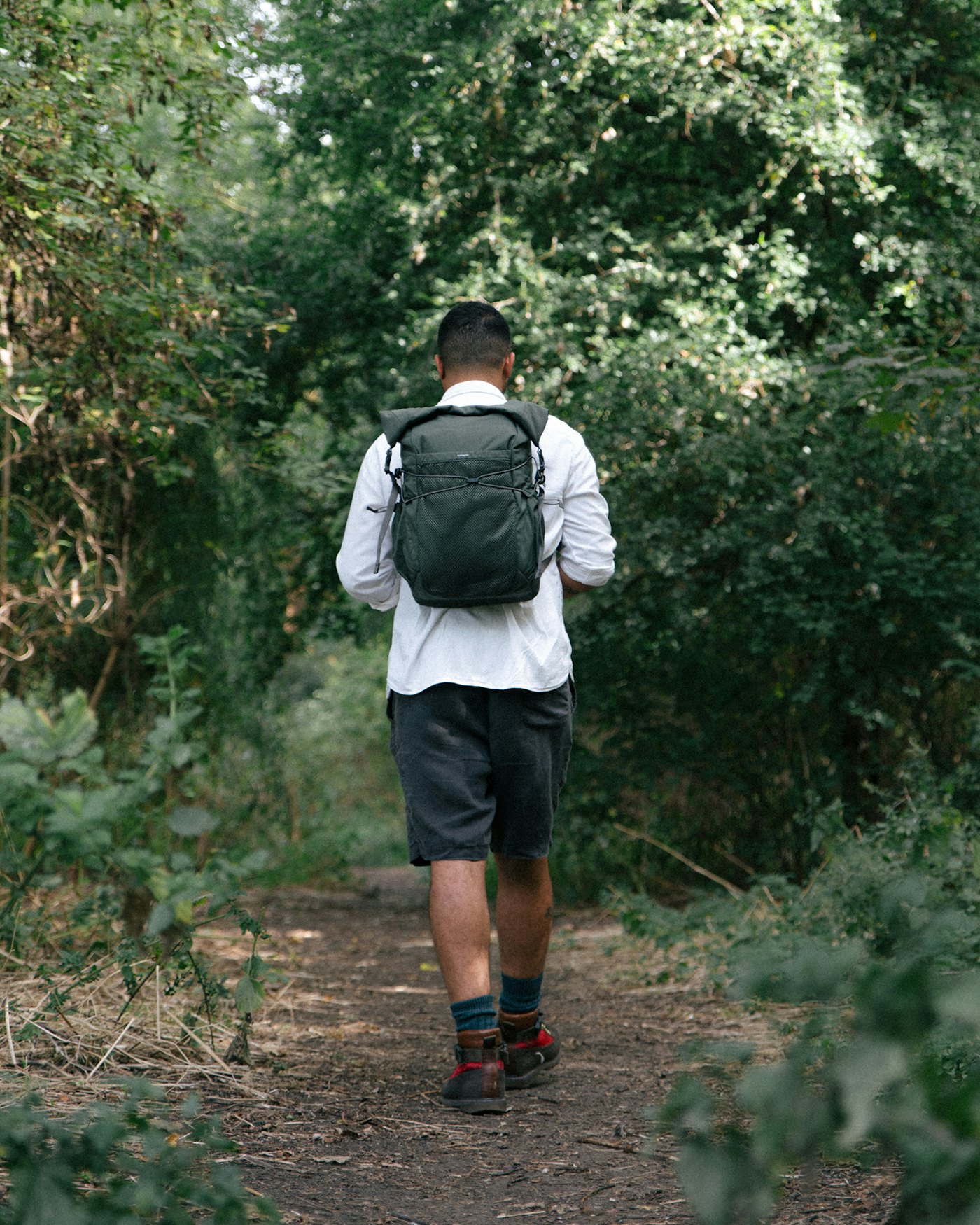 Louie is in color black (7 of 8)