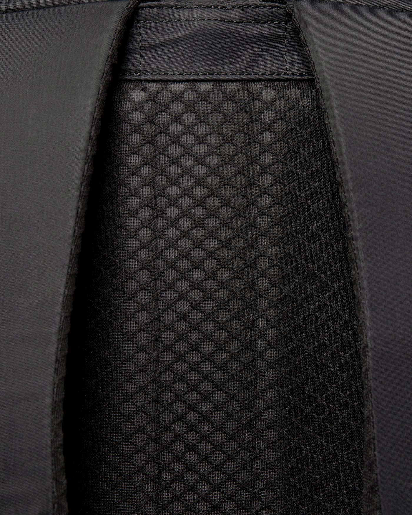 Louie is in color black (3 of 8)