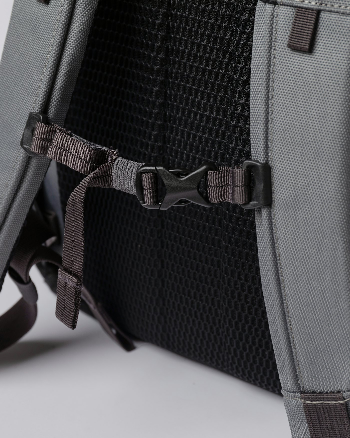 Walter is in color multi dark (7 of 12)