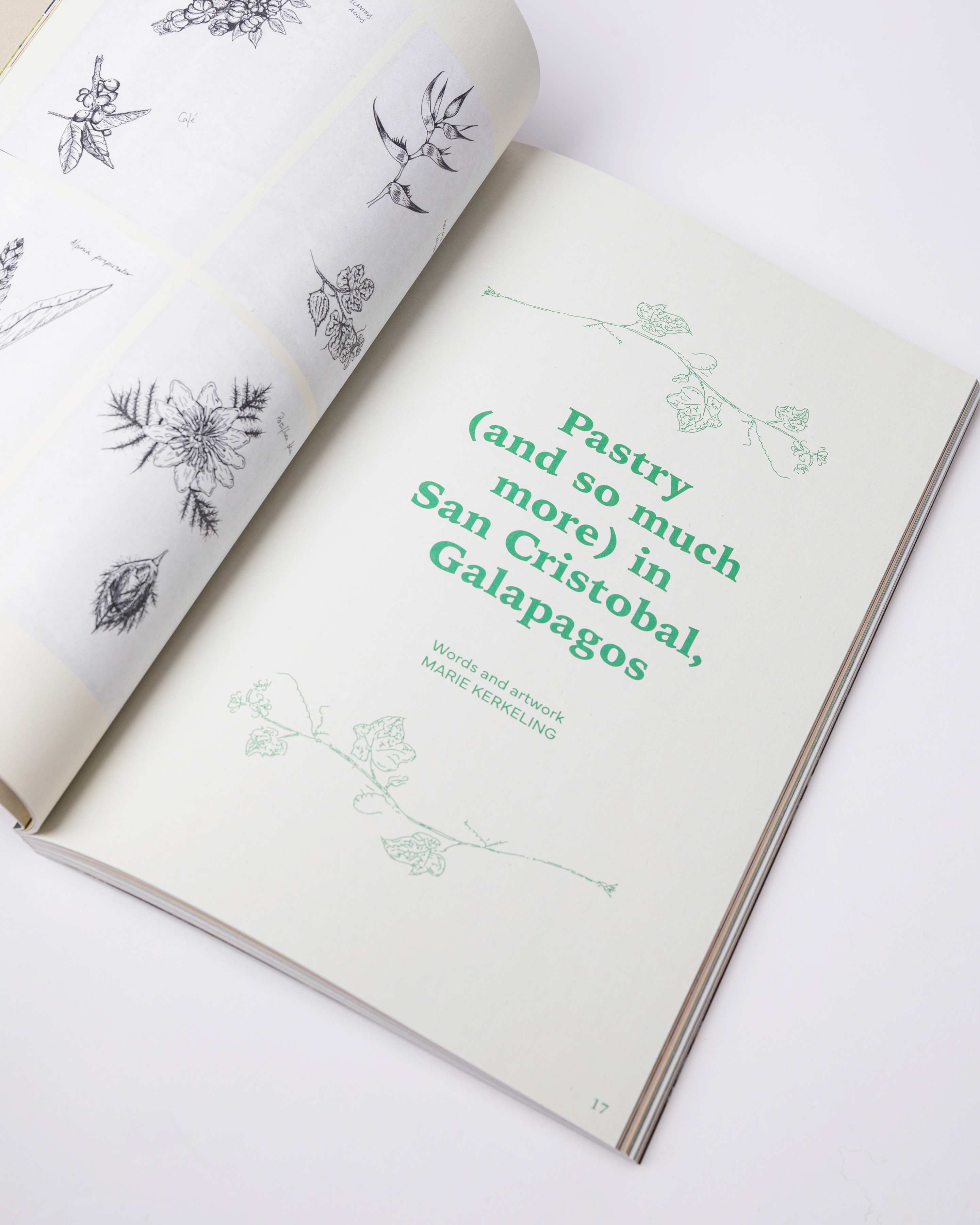 The Preserve Journal #9 is in color multi (4 of 4)