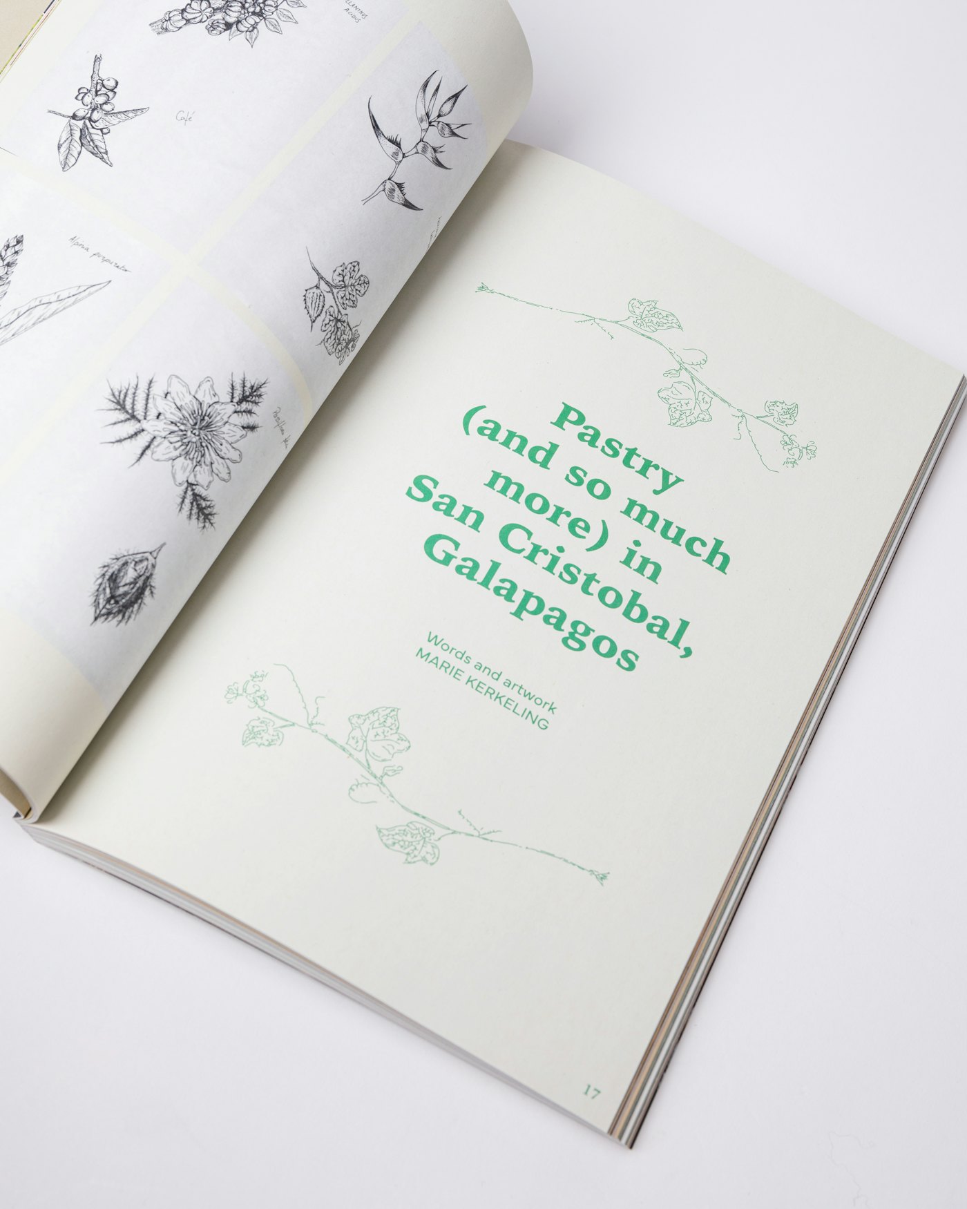 The Preserve Journal #9 is in color multi (4 of 4)