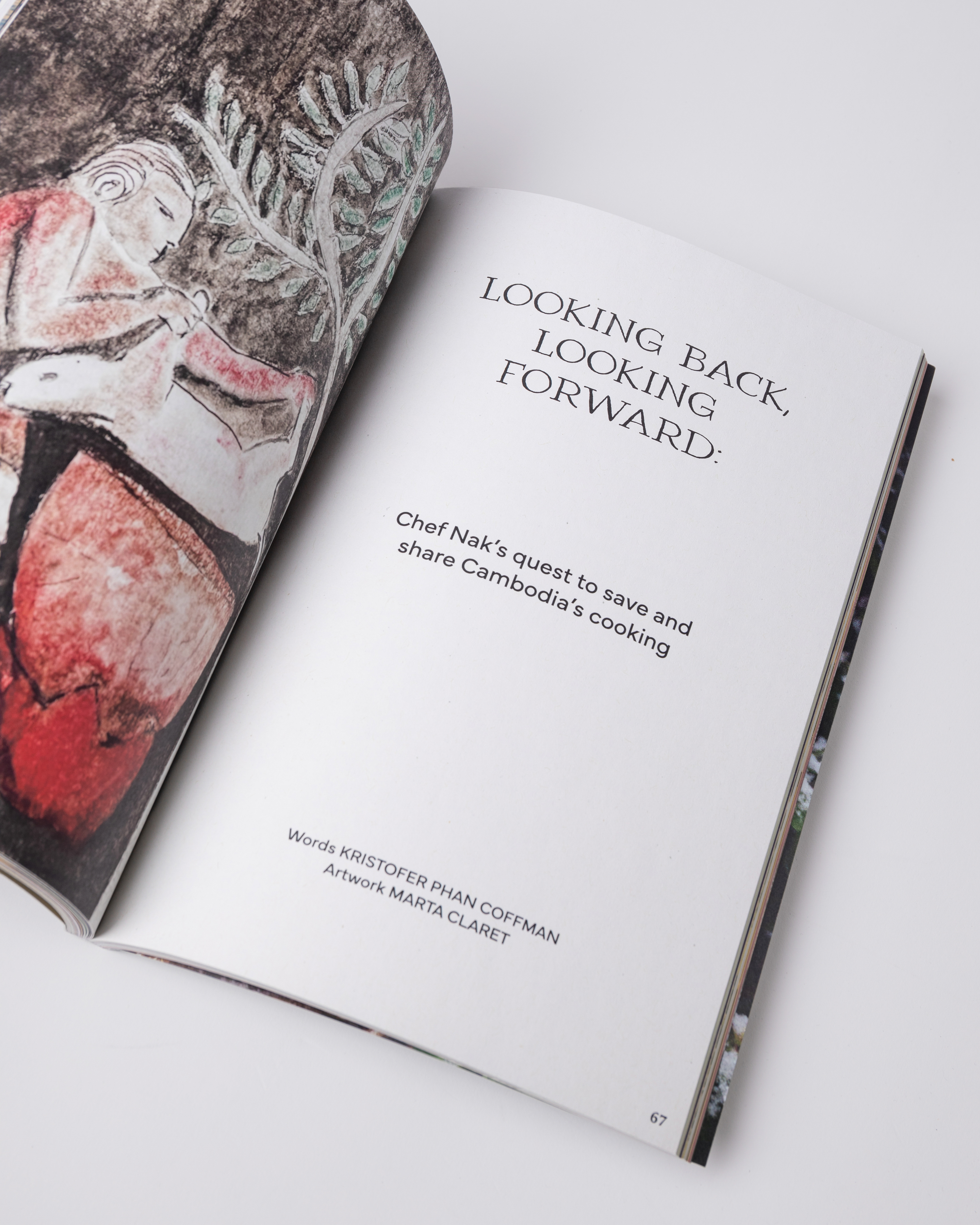 The Preserve Journal #9 is in color multi (3 of 4)