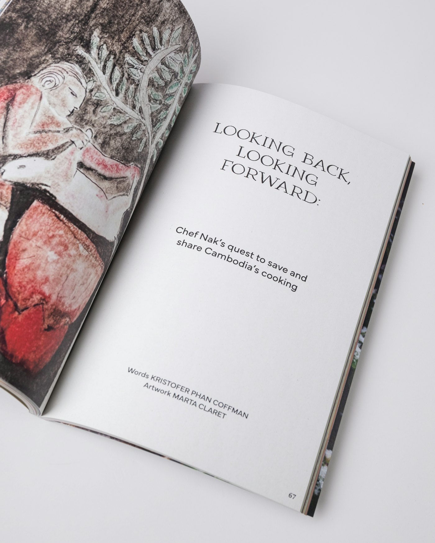 The Preserve Journal #9 is in color multi (3 of 4)