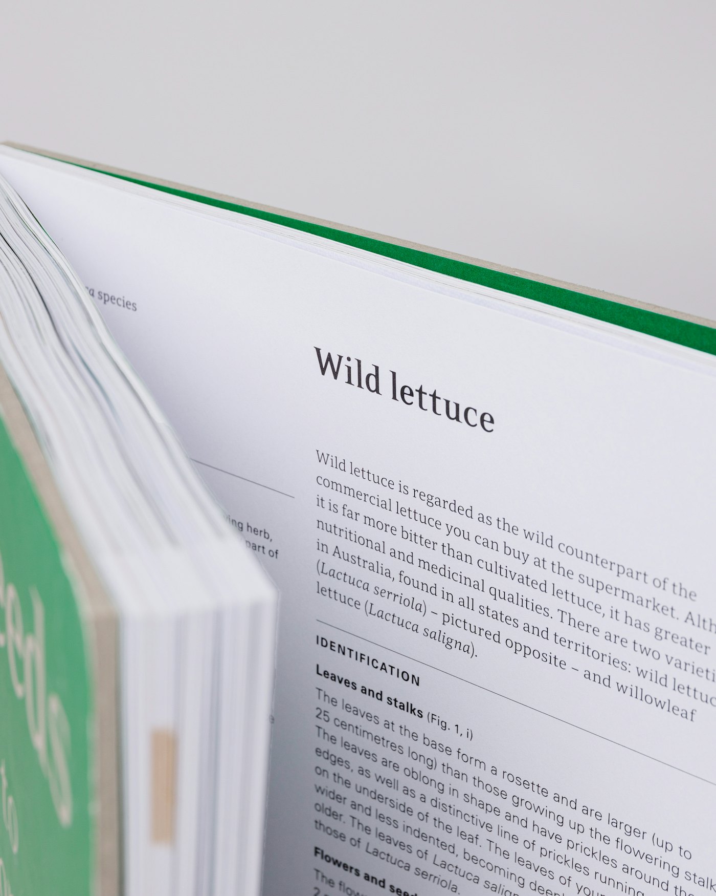 Eat Weeds is in color green (2 of 4)