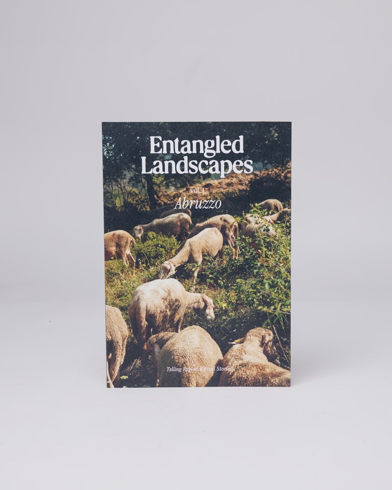 Entangled Landscapes Vol. 1 Abruzzo belongs to the category Shop